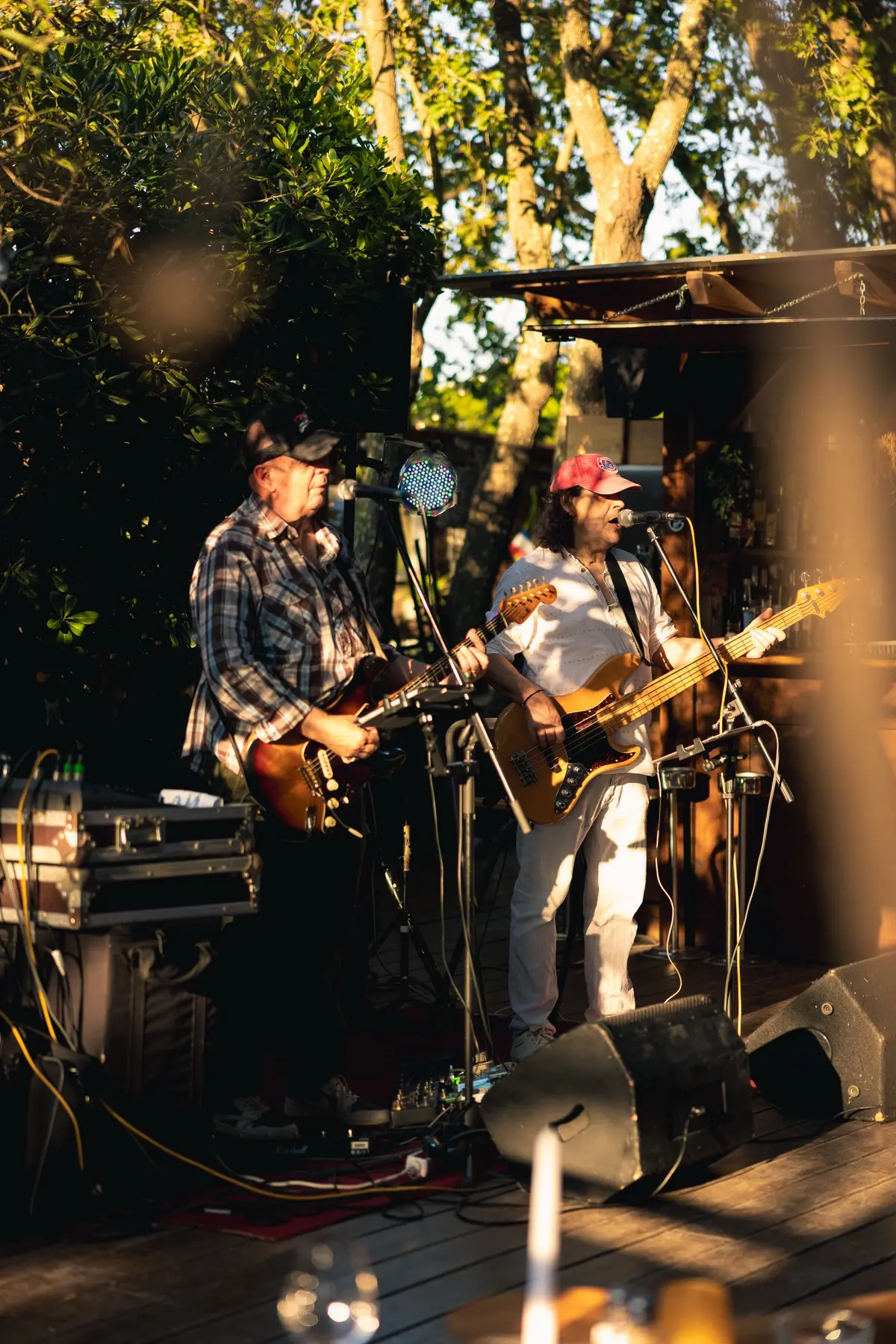 Duo de musiciens en concert sous les pins du Will