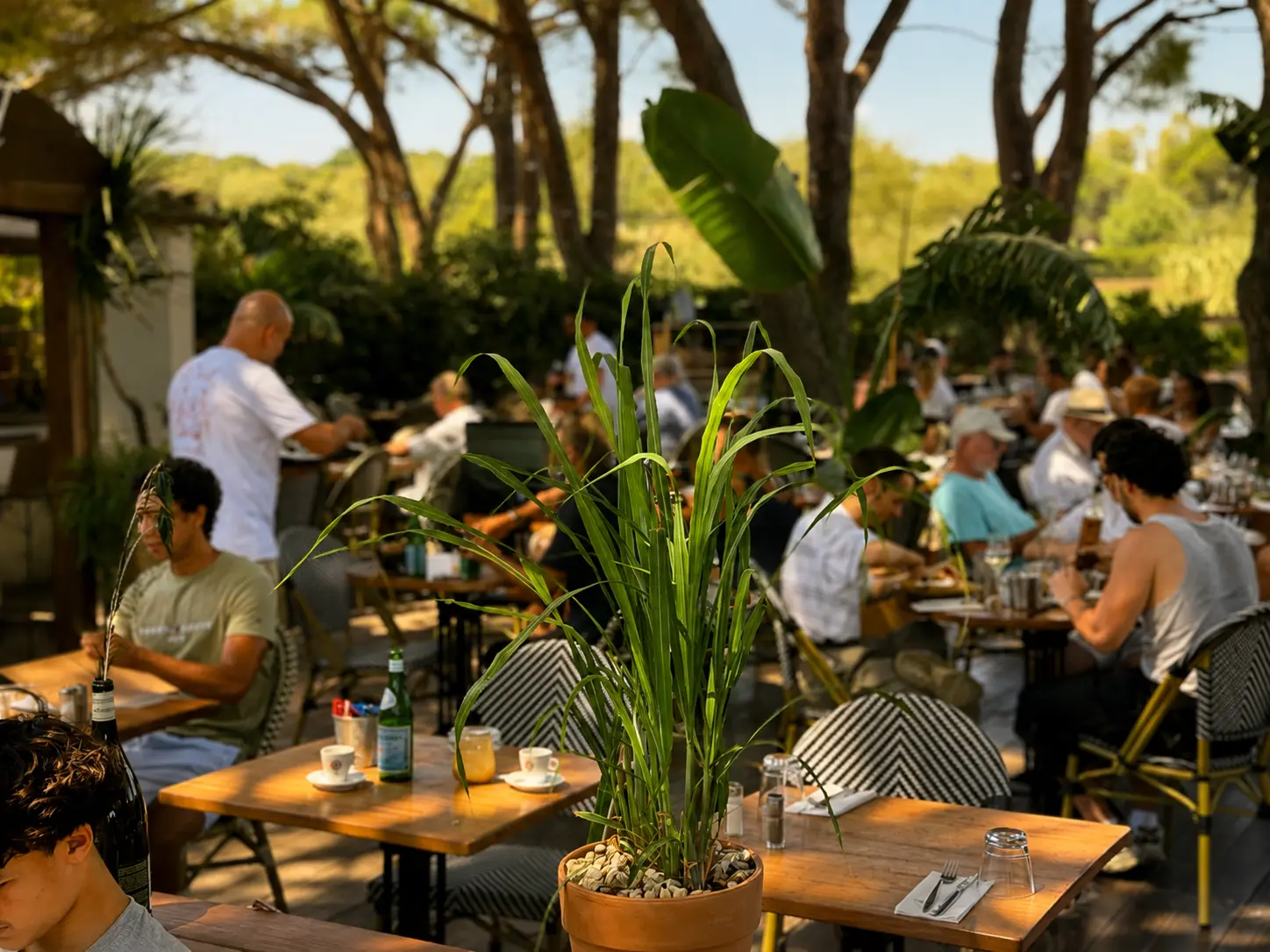 Grande terrasse du Will au coeur des vignes